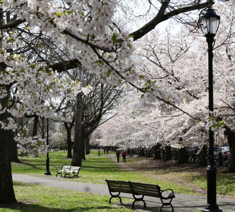 Wooster Square Park (New&nbspHaven,&nbspCT)